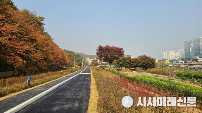 정비된 도시숲길