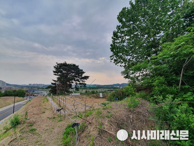 다람산(리모델링)