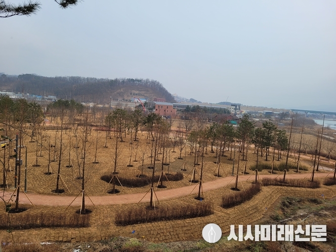 경안천 도시숲 소나무숲 사진