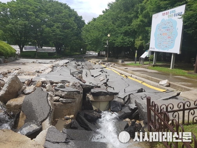태조산공원 피해상황 모습