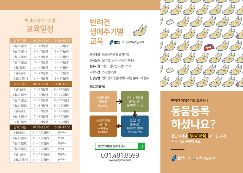 반려견 생애주기별 교육 리플렛