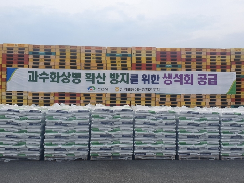 천안시가 과수 화상병 확산방지를 위해 농가에 공급하는 생석회 2만(20kg)포