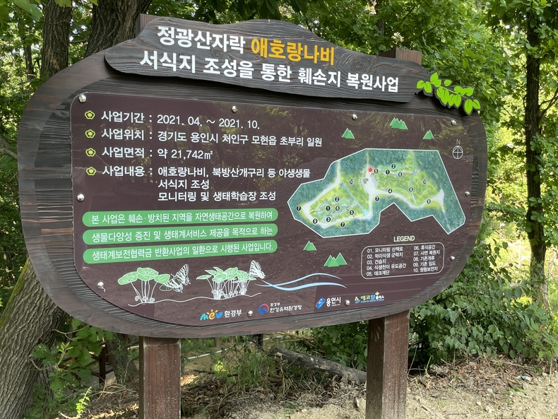 정광산 애호랑나비 북방산개구리 서식지 복원 완료 