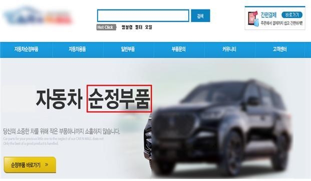 단독몰 예시