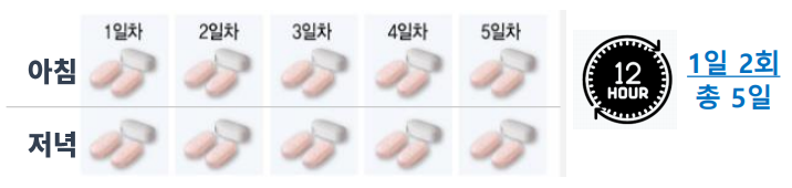 코로나19 경구용 치료제(복용법 그림)