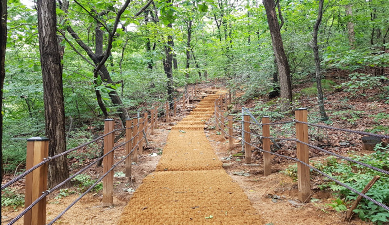 숲길정비