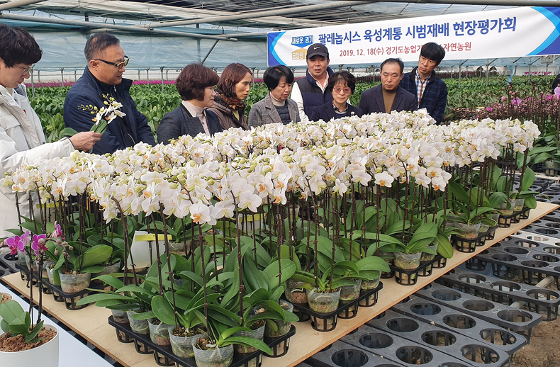현장평가회