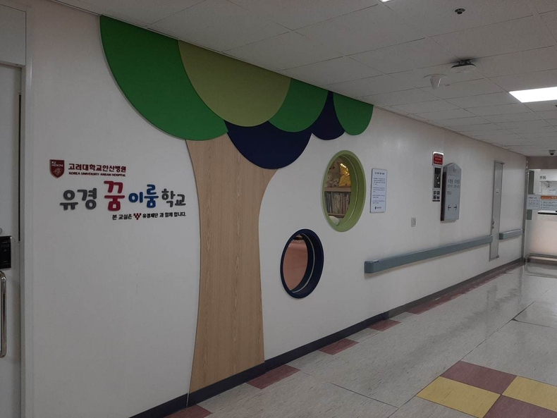 고려대학교 안산병원 병원학교 개교
