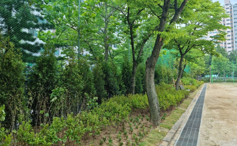 수지구 토월초교 내 유휴공간을 활용한 학교숲 조성 사업이 마무리됐다