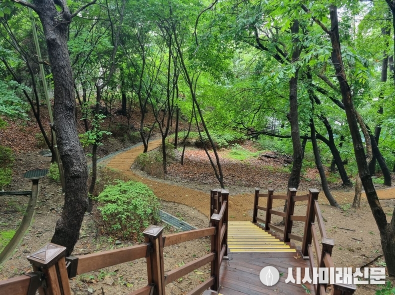 용인시가 정비한 대지산근린공원 산책로 모습