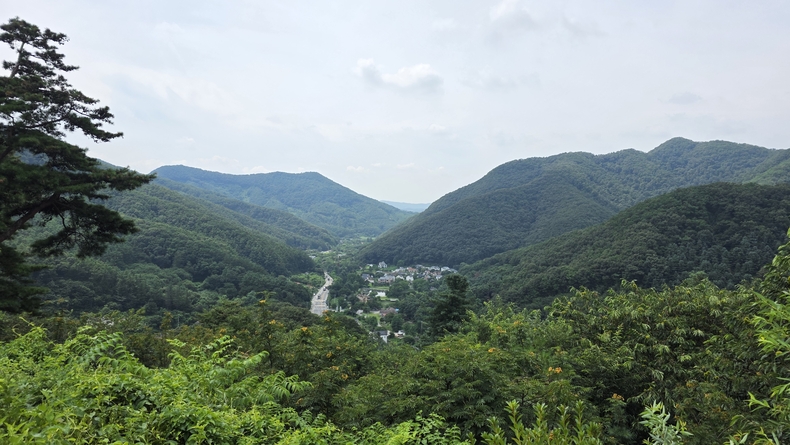 석포숲공원 정상에서 본 주변 전경