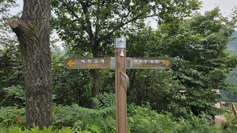 석포숲공원