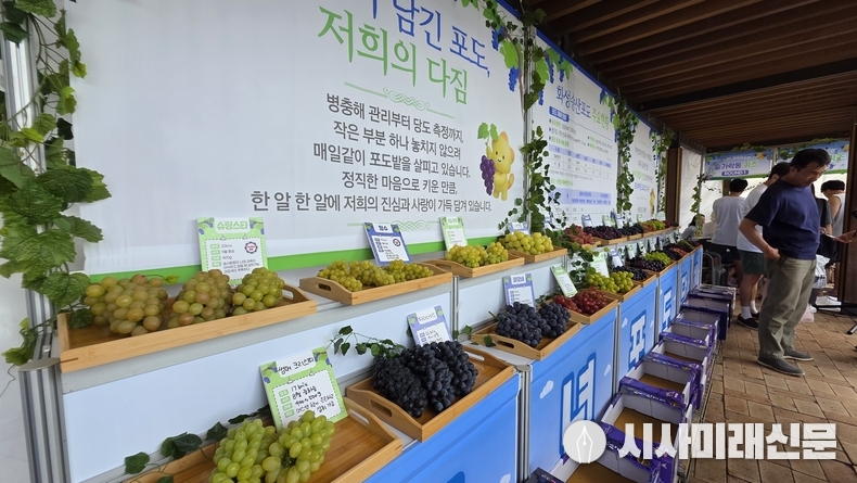 7일 열린 화성송산포도축제장에서 청년들이 농사지은 포도를 소개하고 있는 청년포도단체 홍보부스 모습(사진=김은숙 기자)