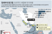 청와대, 해군 왕건함 ‘청해부대 호르무즈해협 파견’ 해군함정 안전담보 되어야...