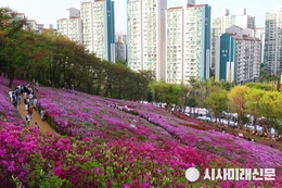 '2026 군포철쭉축제’ 화려한 개막…18일부터 9일간 봄의 향연 펼친다.
