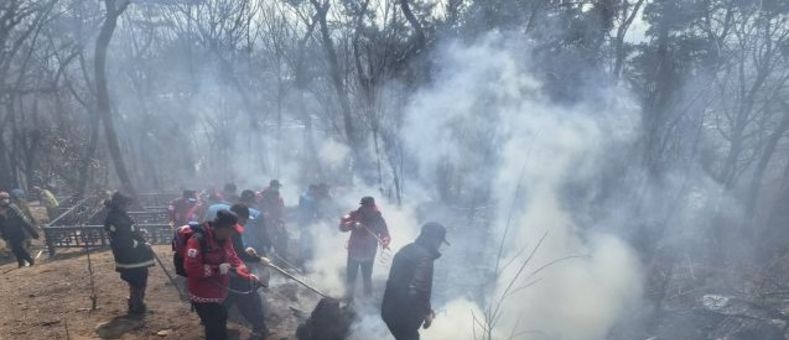 경기도, 14일부터 ‘대형산불 특별대책기간’ 지정...방화범 무관용 엄정 대응 방침