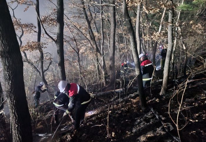 산불진화대가 잔불정리를 하고 있다.
