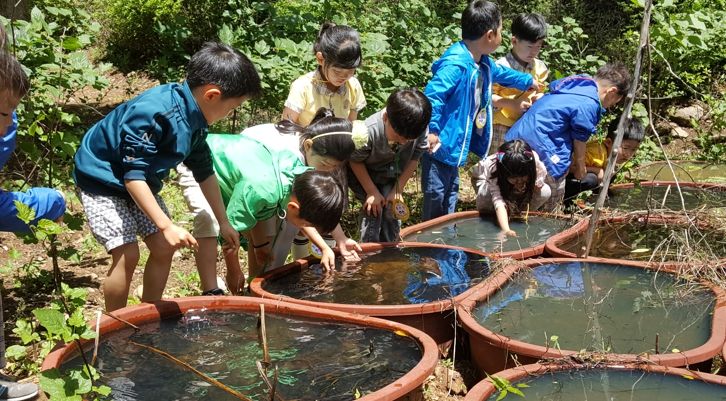 어린이들이 자연생태체험을 하고 있다.