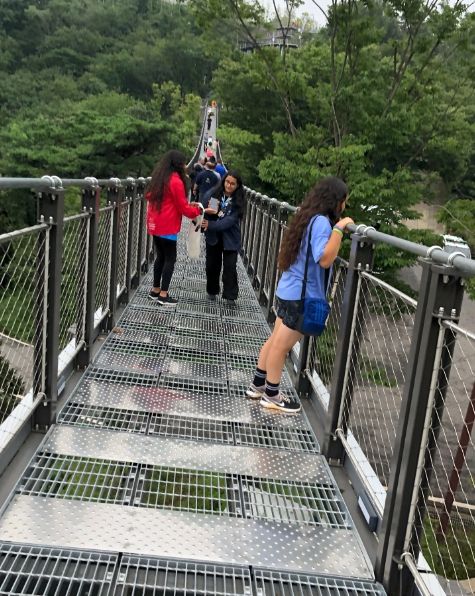 이집트 잼버리 대원들이 애기봉평화생태공원을 견학하고 있다