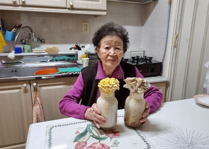 부평구노인복지관, 버섯 키우기로 어르신 정신건강 튼튼