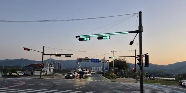 차량 신호등 보조 장치 사진