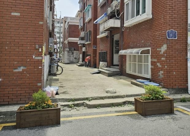 수원시 장안구 송죽동, 무단투기와 불법주차 막는 나무화단 조성