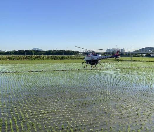 무인헬기를 활용한 병해충 방제 현장