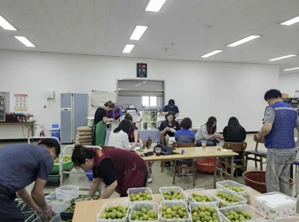 시흥시 신현동 자원봉사지원단, 취약계층에 '정성 한 스푼, 매실청 담그기' 진행