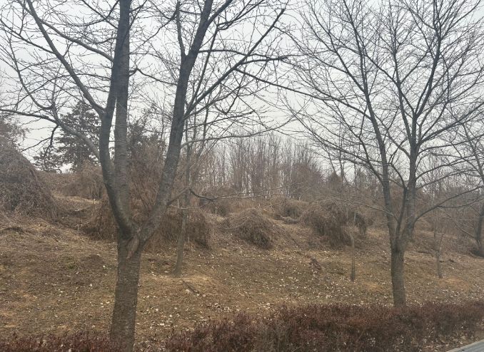 이천시, 2026년 도시숲리모델링사업 선정