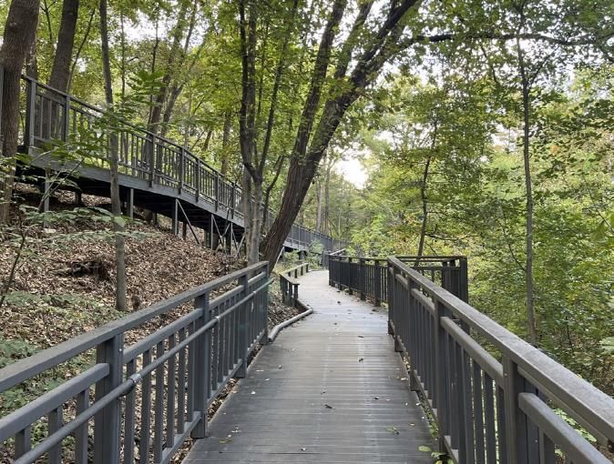 추동숲정원 데크길