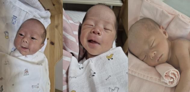 동두천시, 두 해 연속 세쌍둥이 탄생… 난임부부 지원 성과 빛나