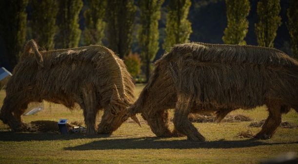 짚 황소 머리를 맞대고 싸우는 소를 짚을 활용하여 역동적으로 표현(사진제공=아름다운강천 사회적협동조합)
