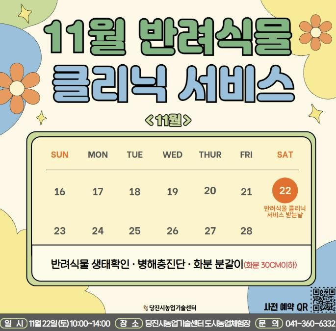 11월 반려식물 클리닉 카드뉴스