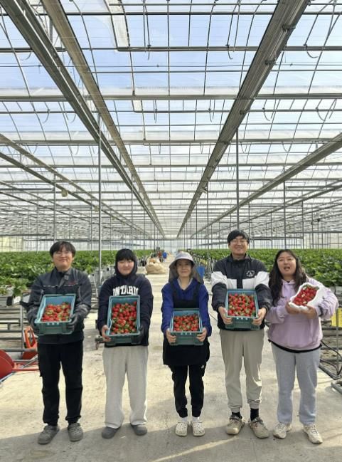 스마트팜사관학교 수확 사진