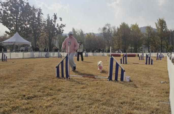 여주 강천섬 반려동반 힐링 프로그램, 반려가족 큰 호응 속 성공적 운영