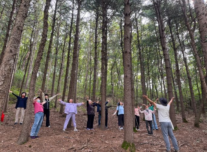 산림치유 프로그램