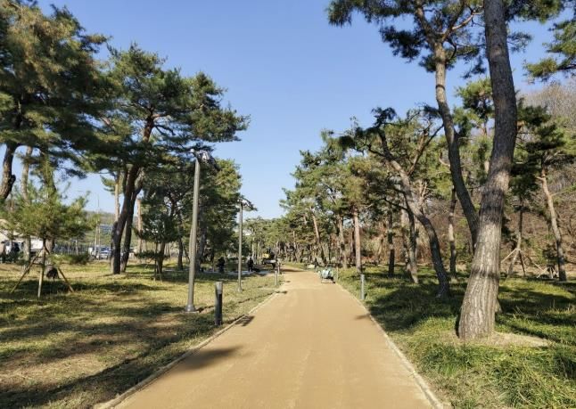 수원시 장안구, 노송공원 내 고보조명과 함께 '명품 맨발걷기길' 조성
