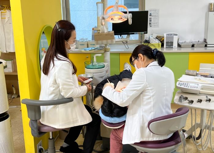 남양주풍양보건소, ‘2026 어린이 불소도포 사업’ 운영…초등학생 충치 예방 강화