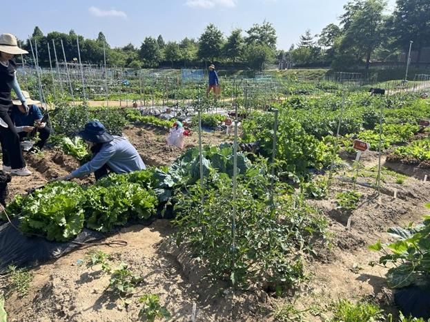 2026년 파주시 시민주말농장 신청