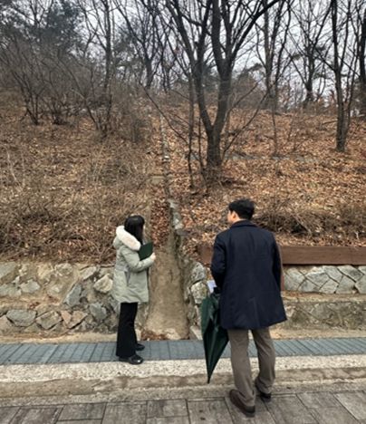 전문가(산림기술사) 합동점검