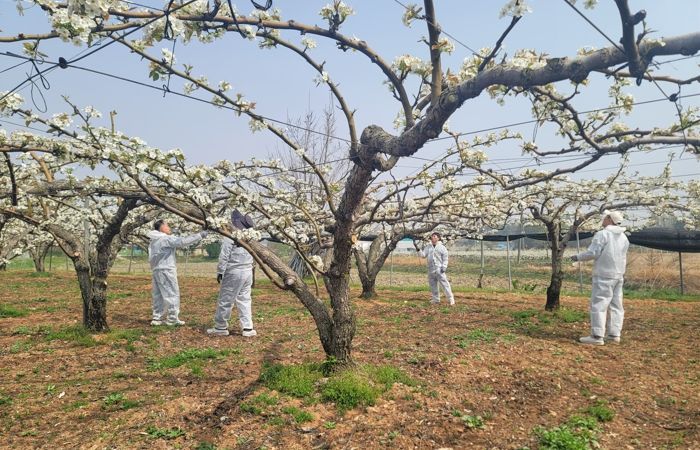 봄철 이상기후 선제 대응…원예작물 생육안정화 총력